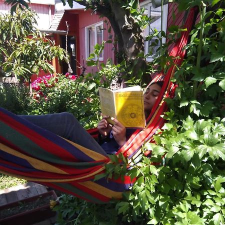 Casa Raices Hotel Кокране Екстериор снимка