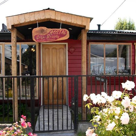 Casa Raices Hotel Кокране Екстериор снимка